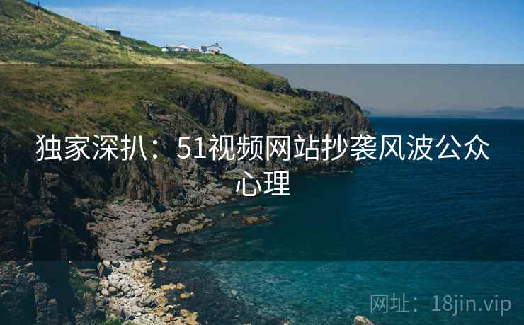 独家深扒：51视频网站抄袭风波公众心理