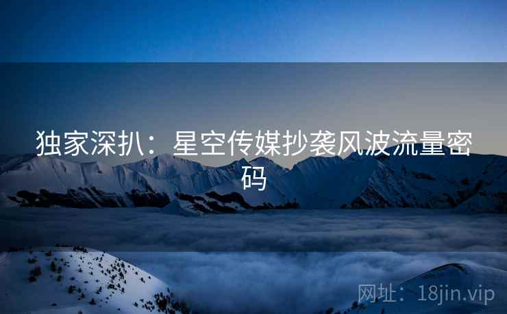 独家深扒：星空传媒抄袭风波流量密码