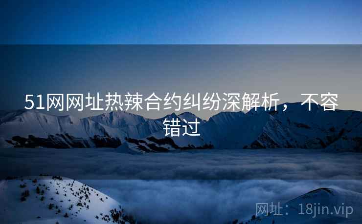 51网网址热辣合约纠纷深解析，不容错过