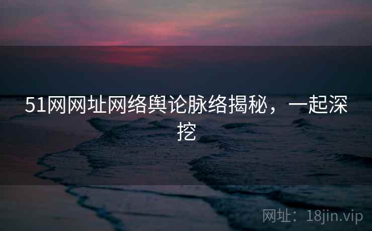 51网网址网络舆论脉络揭秘,一起深挖