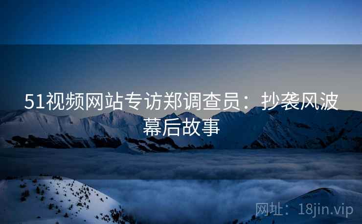 51视频网站专访郑调查员：抄袭风波幕后故事