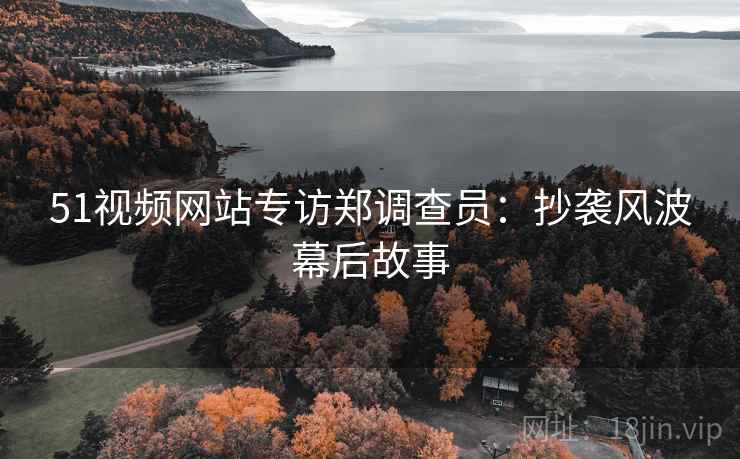 51视频网站专访郑调查员：抄袭风波幕后故事